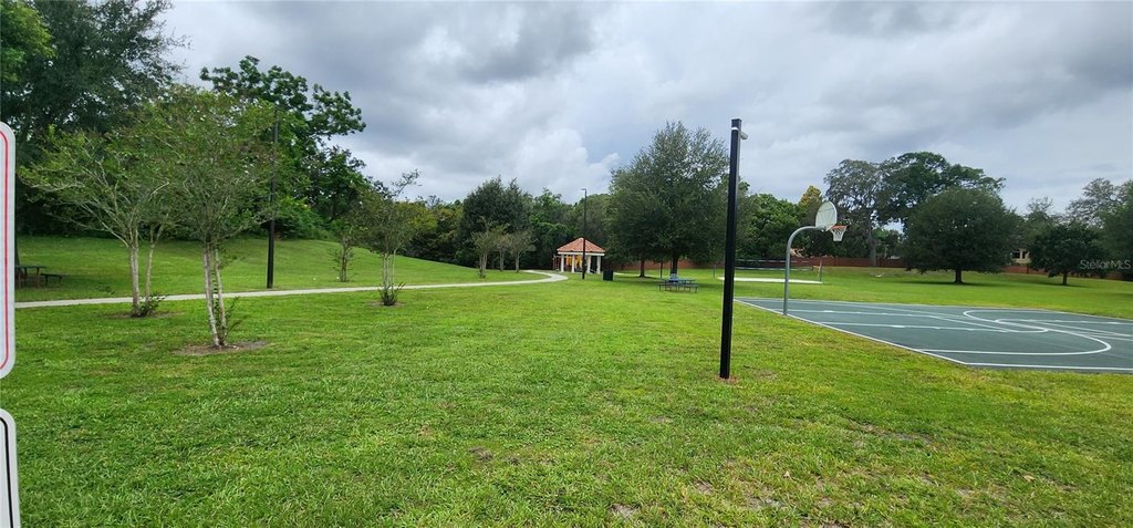Picture 8