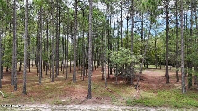 Ocean Isle Beach Homesite