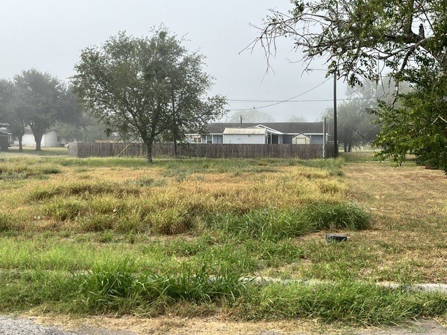Picture 4