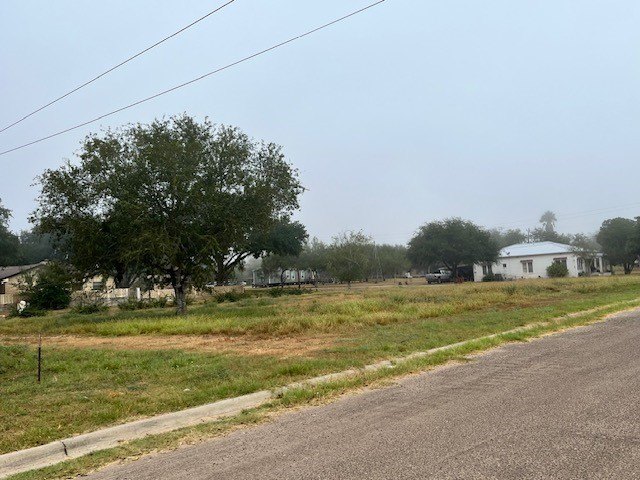 Picture 6