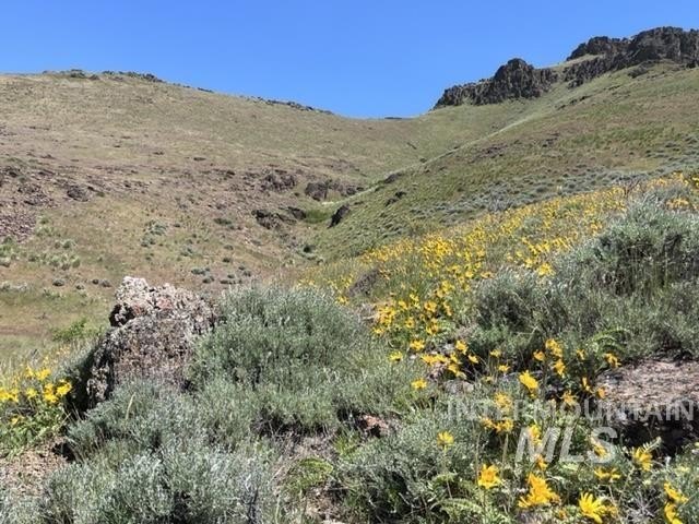 Land with Canyon Creek