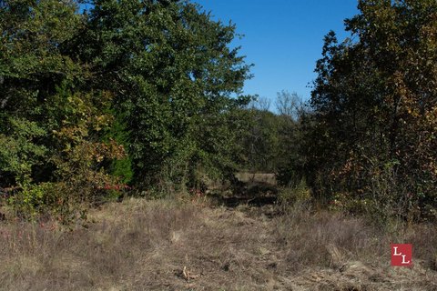 Creek-Front Hunting and Homesite Land