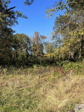 Residential Land in Atlanta, TX