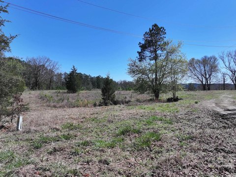 Amity, AR Land with Pond