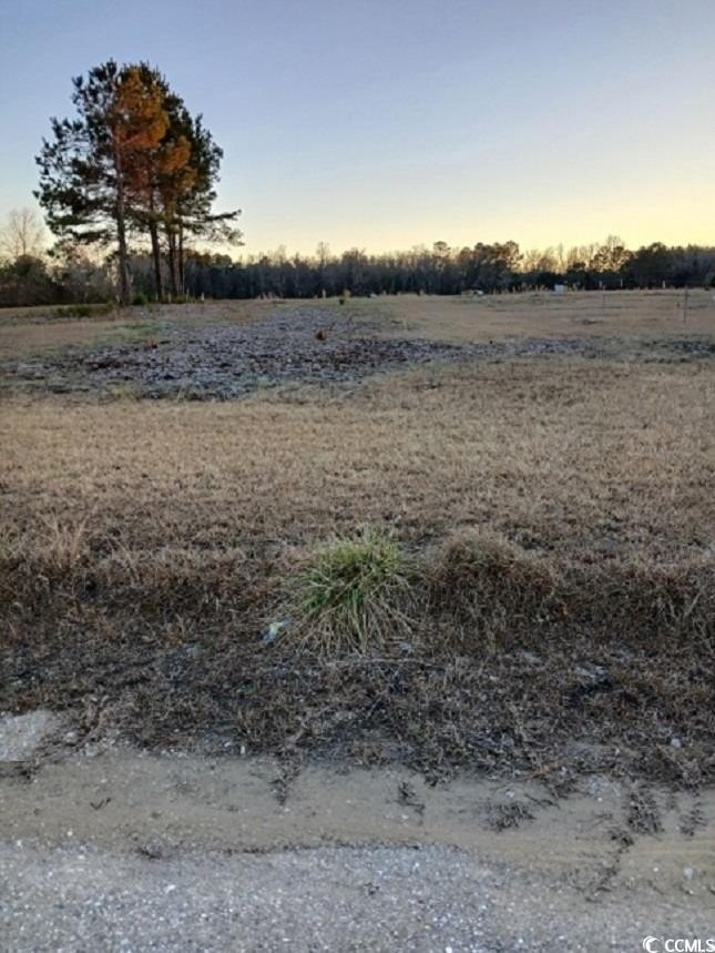 Residential Land in Loris, SC