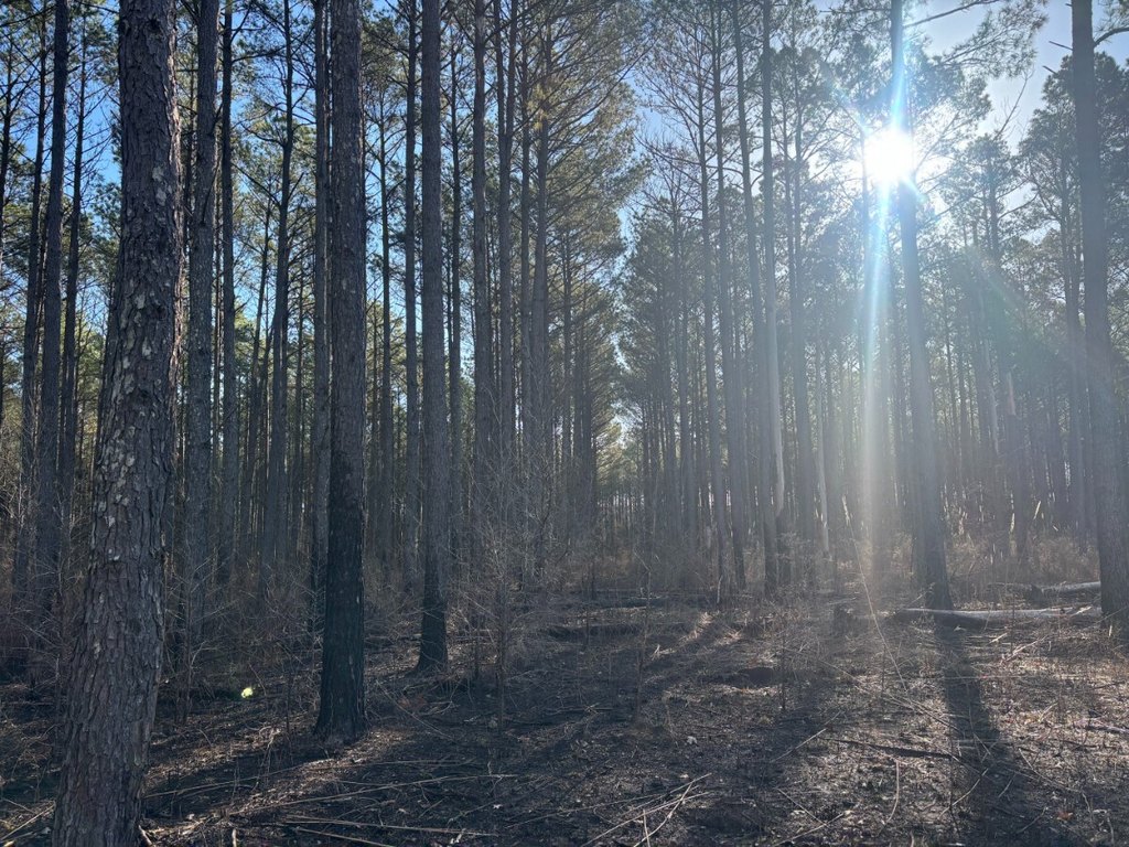 Picture 18