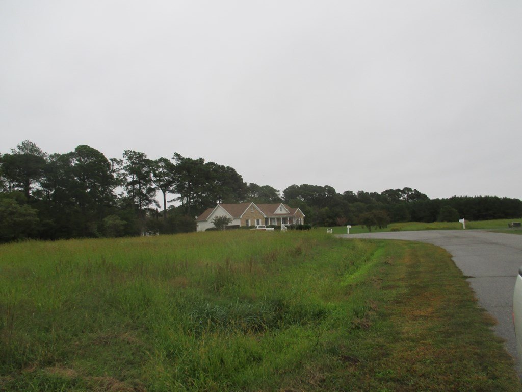Picture 8