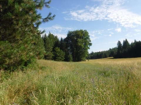 LAND - Loon Lake, WA