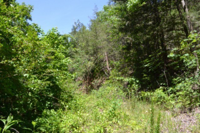 Picture 25