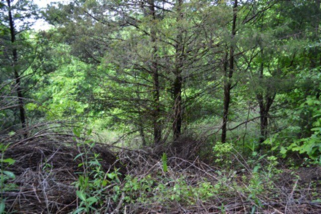 Picture 13