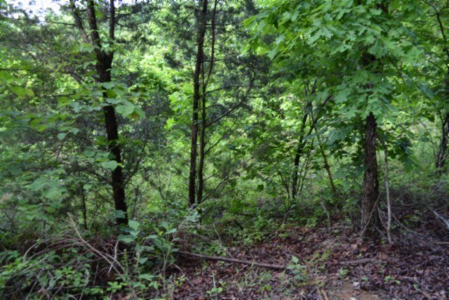 Picture 15