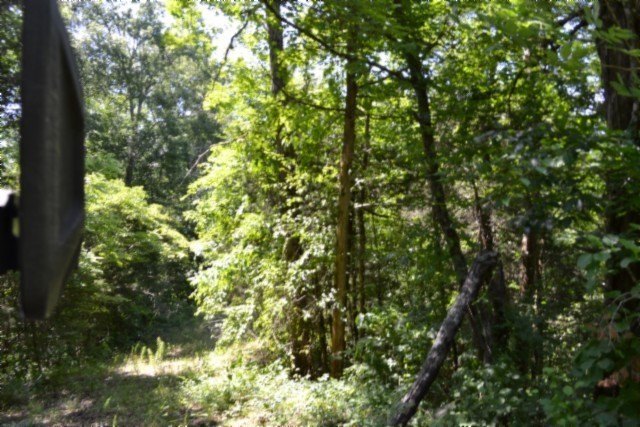 Picture 27