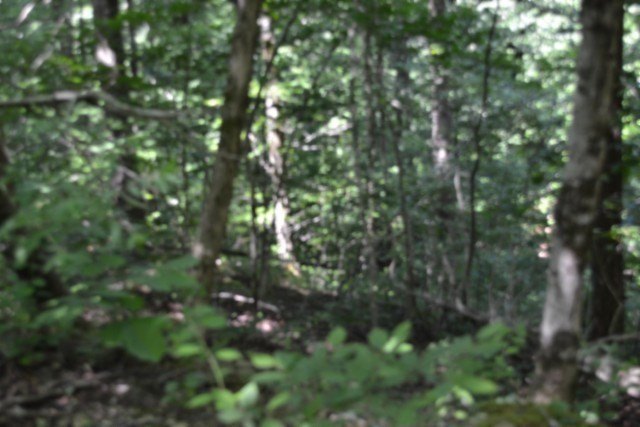 Picture 33