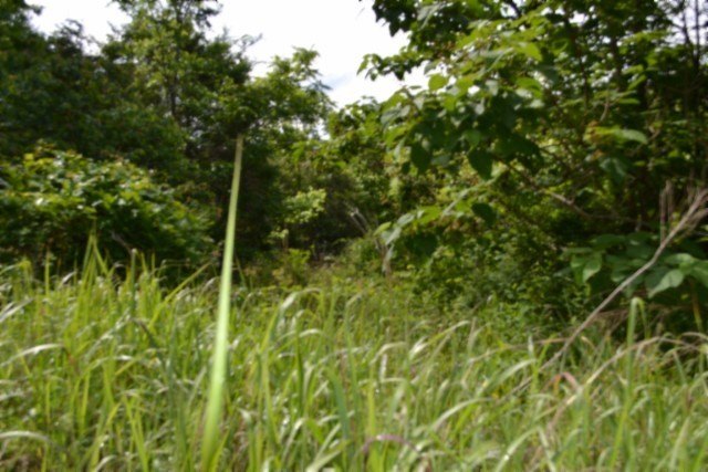 Picture 7