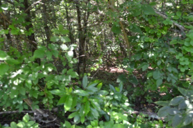 Picture 20