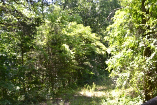 Picture 23