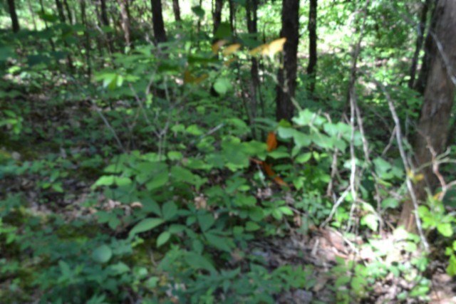 Picture 30