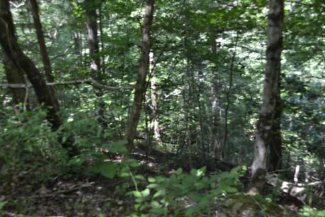 Picture 31