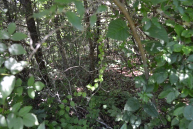 Picture 21