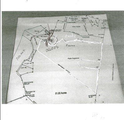 Picture 41