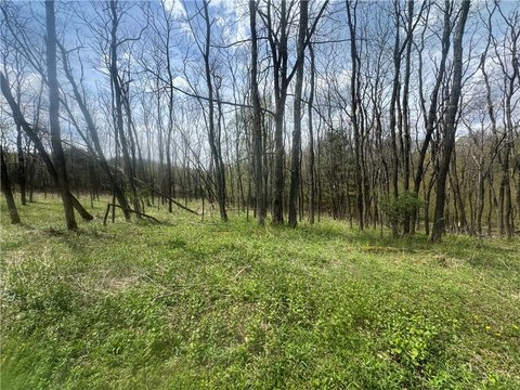 Land in Laurens, NY