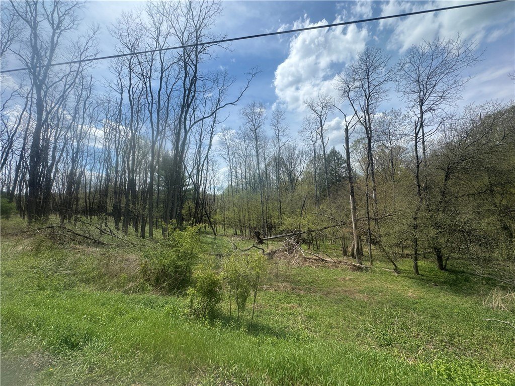 Picture 4