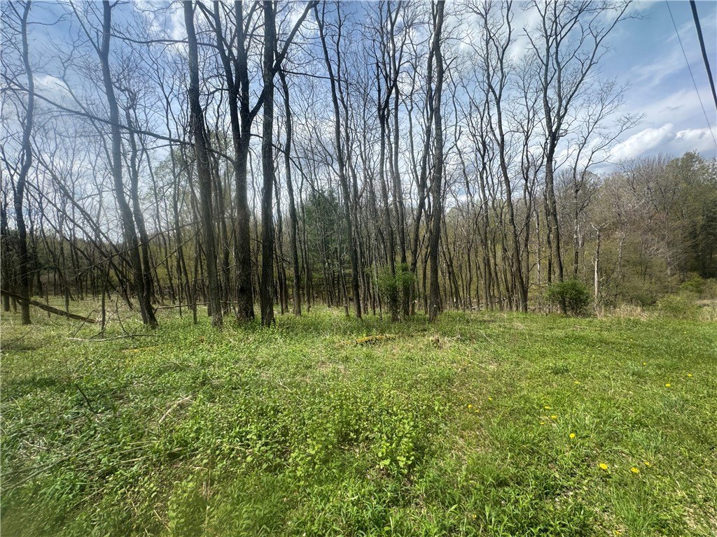 Picture 2