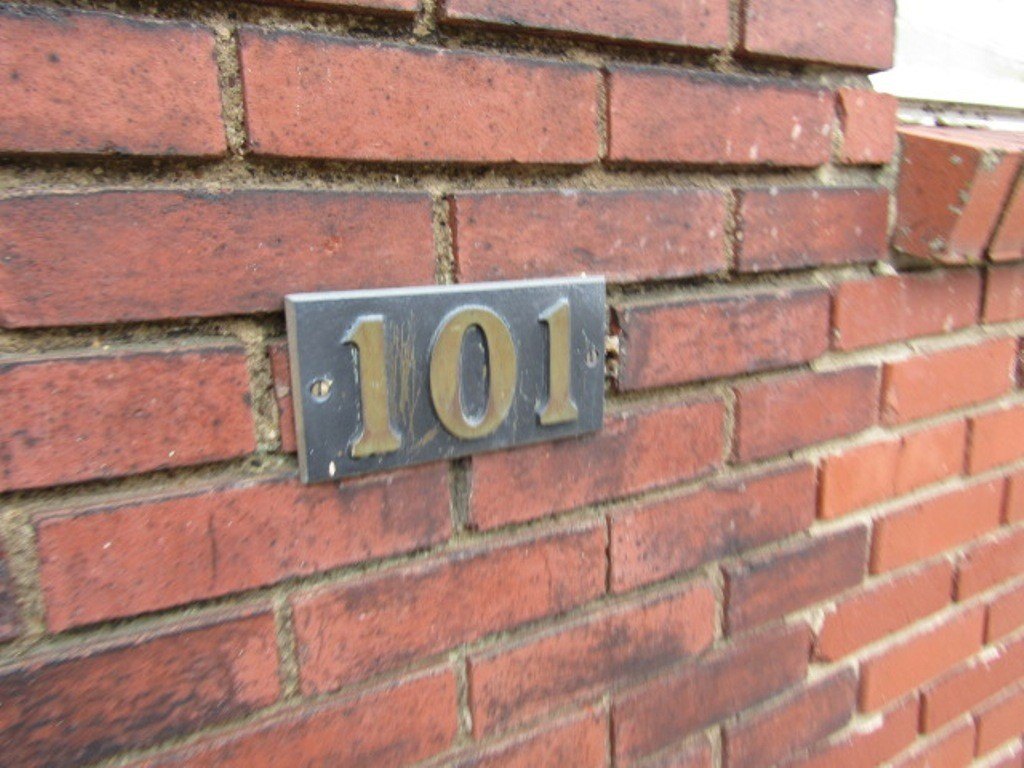 Picture 5