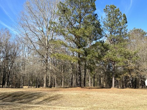 Residential Land in Waynesboro, GA