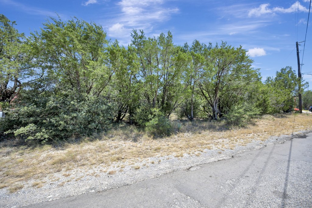 Picture 23