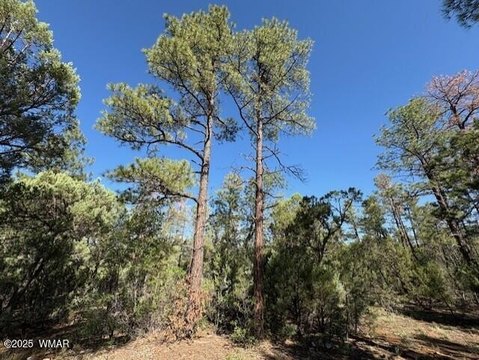 Land in Torreon Lakes