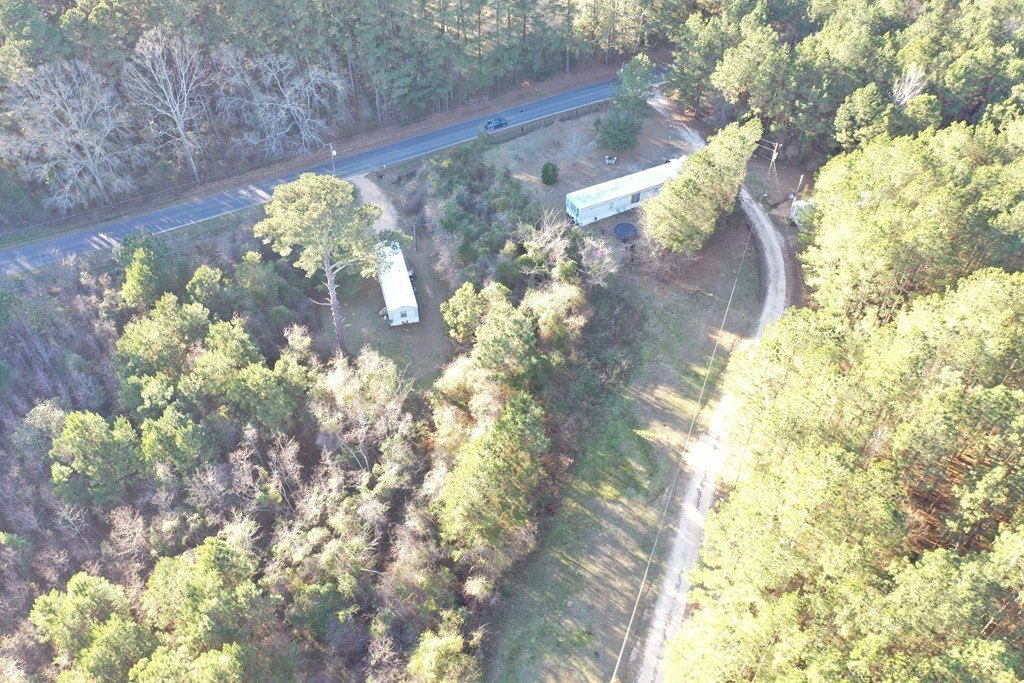 Picture 3
