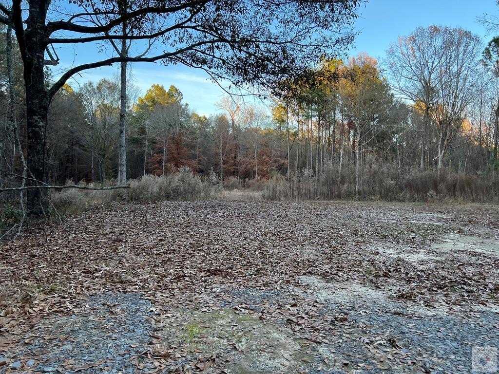 Picture 4
