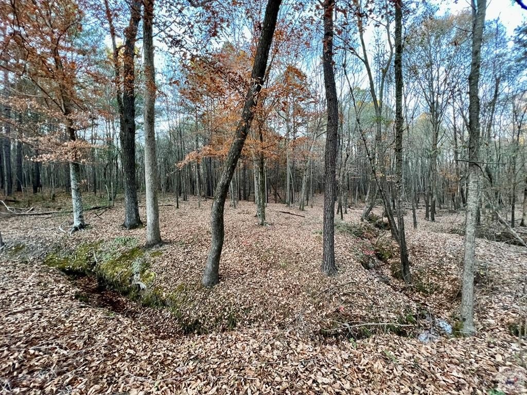 Picture 8