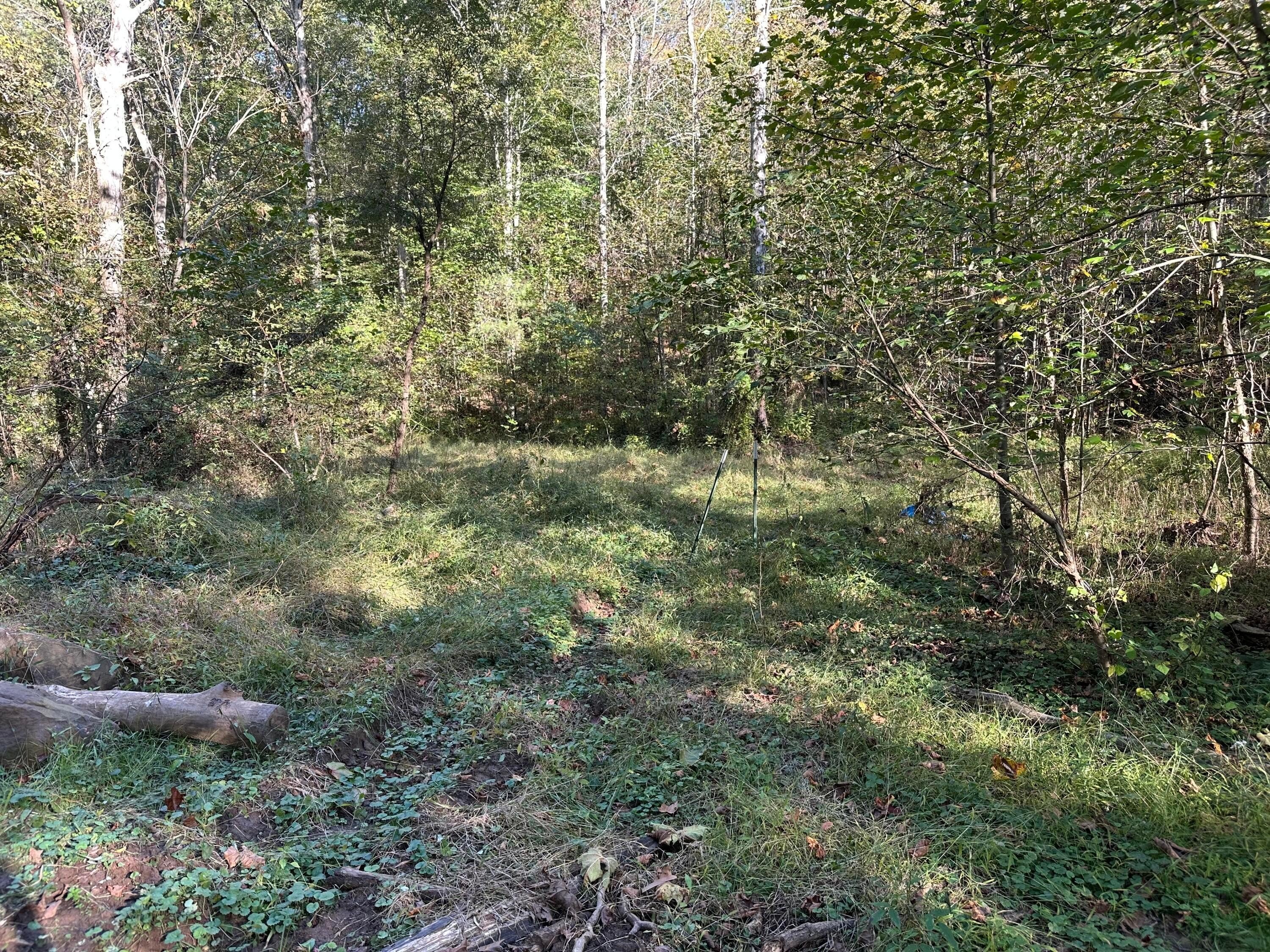 Reedsville Land with Cabin