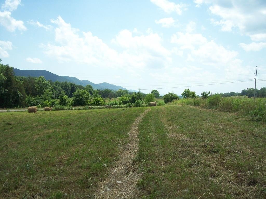 Powell River Land in Tazewell