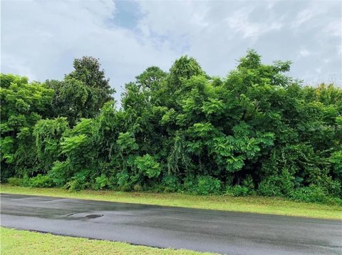 LAND - DELTONA, FL