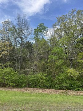 Residential Lot in Clinton, AR