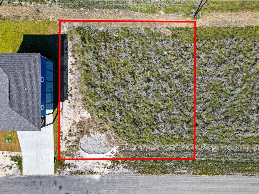 Picture 5