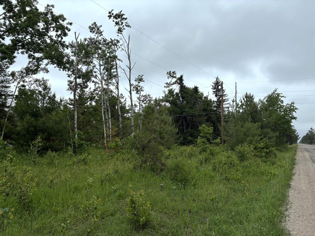 Picture 5