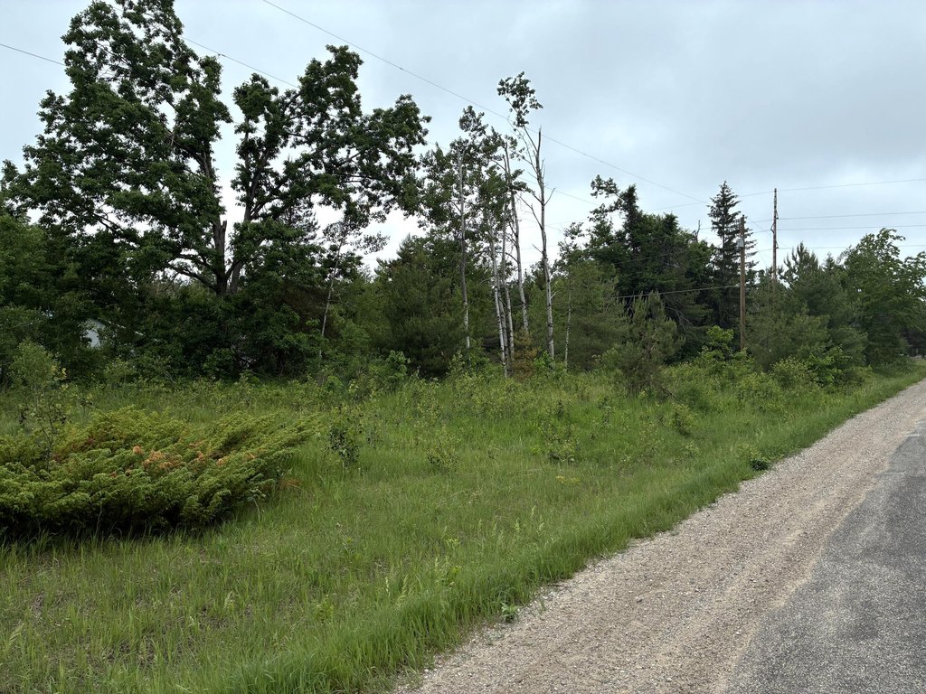 Picture 3