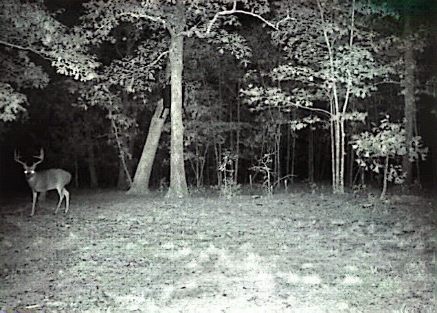 Picture 13
