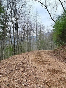 Mountain Homesite in Rural Subdivision