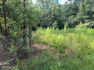 Land, Edgefield, SC