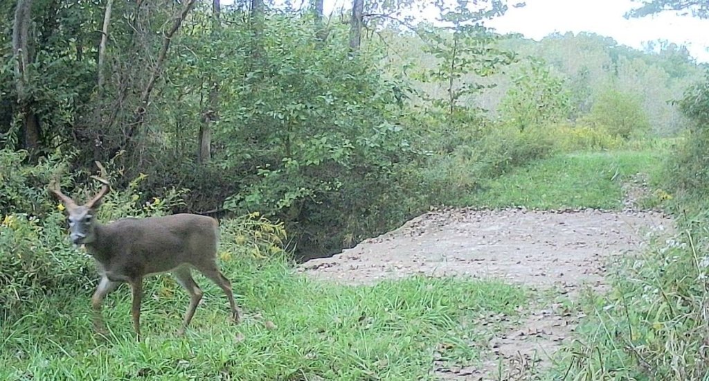 Picture 86
