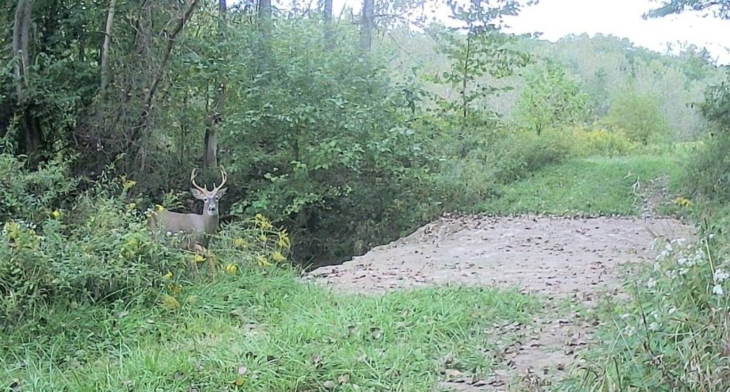 Picture 85