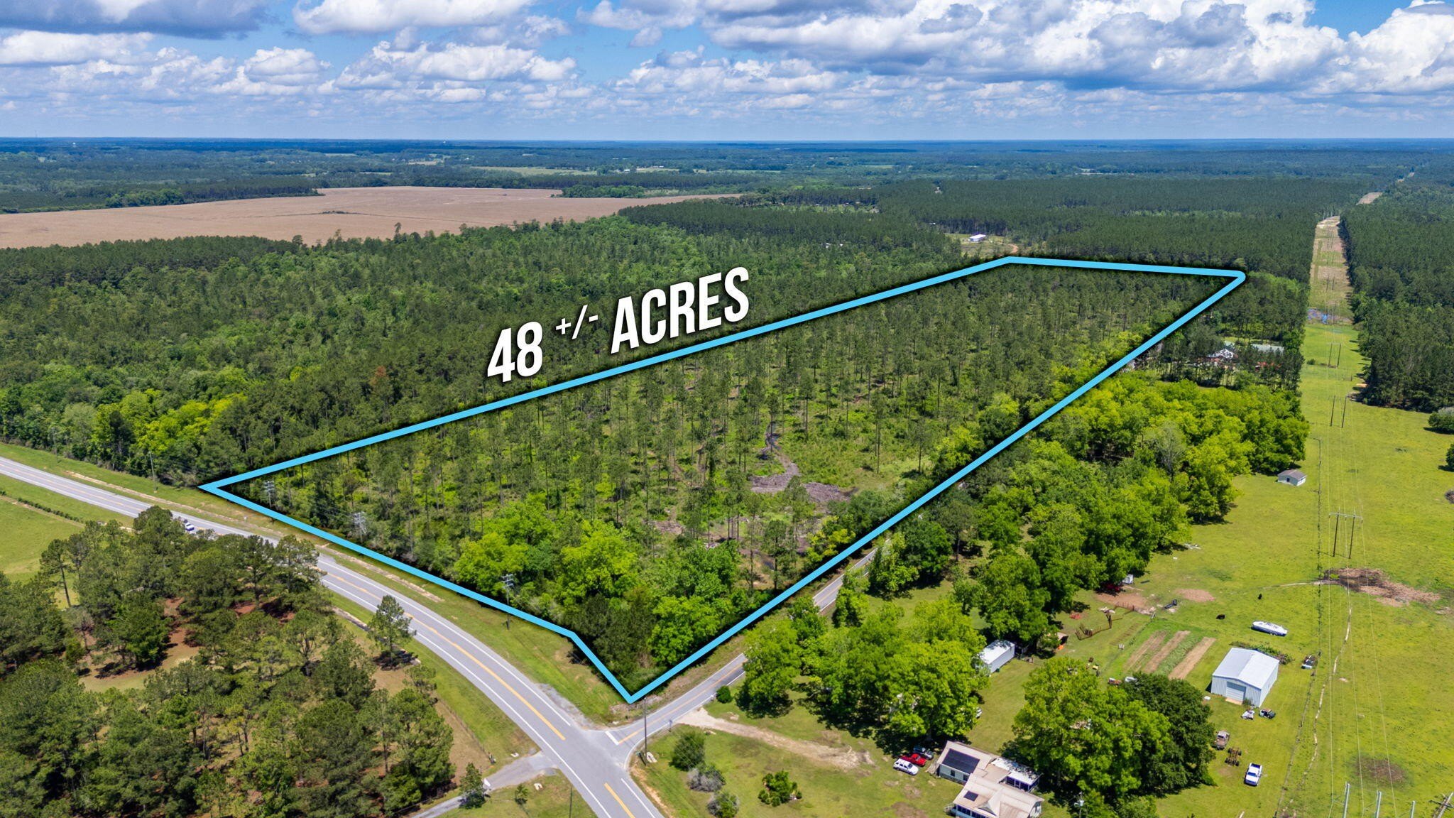 Walton County Wooded Acreage