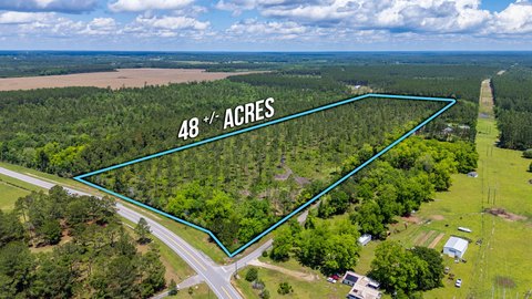 48+ Acres in Walton County