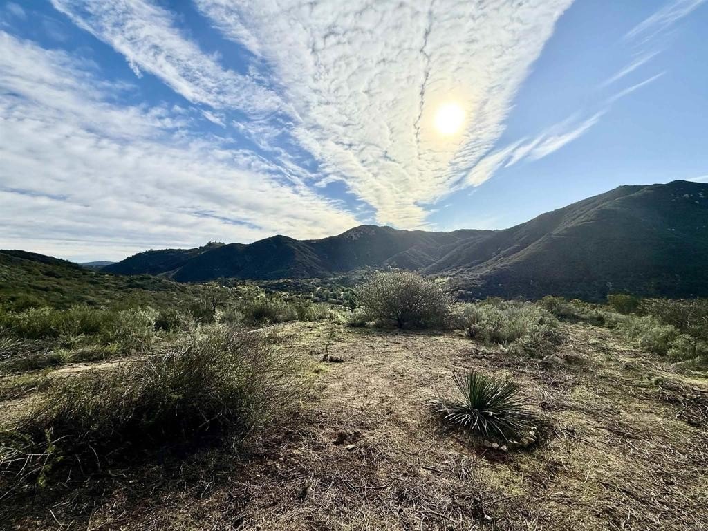 Picture 26