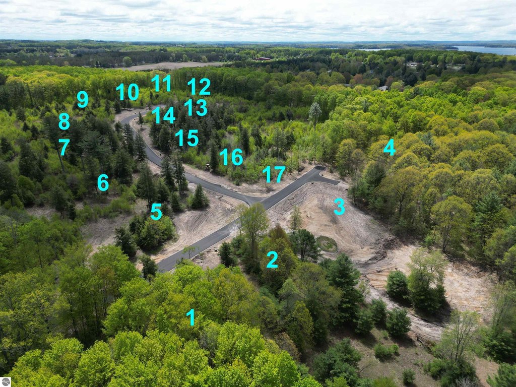 Picture 11